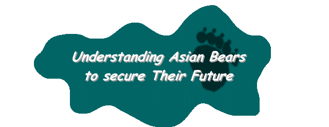 Understanding Asian Bears to Secure Their Future. Compiled by Japan Bear Network